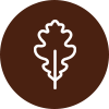 icona dell'albero